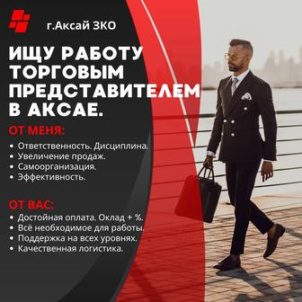 г.Аксай. Ищу работу торговым представителем.