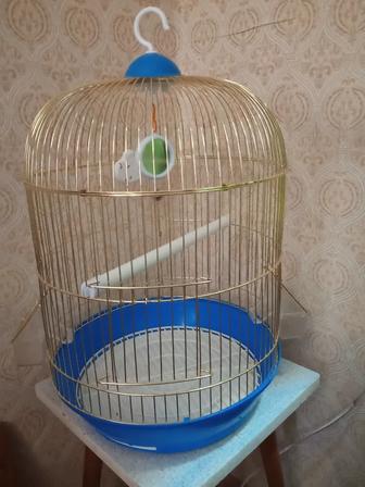 Клетка для попугаев
