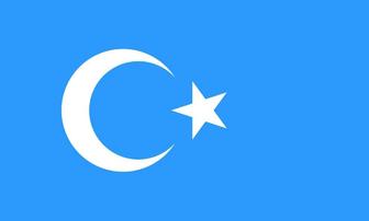 Флаг Восточного Туркистана Уйгурстана