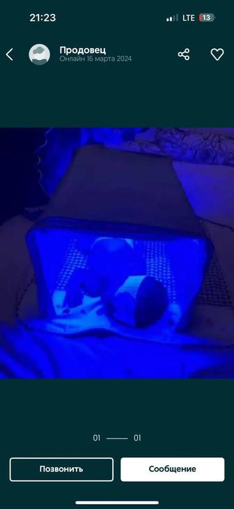 Аренда фотолампы от желтушки для новорожденных детей