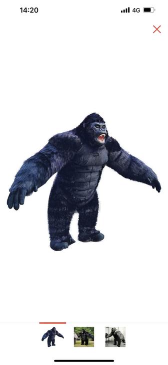 Прокат костюмы горилла