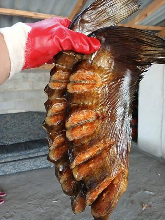 Продаётся Копченная рыба Сом Сазан Змейголов вяленая вобла