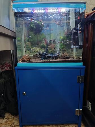 Продаю аквариум с рыбками
