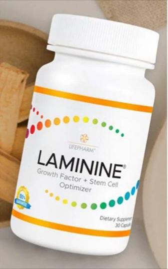 Ламинин, 120/Laminine® оригинал, LifePharm, США