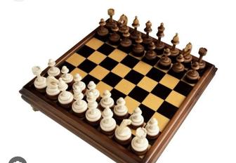 Кружки шахмата и шашки