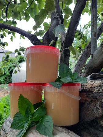 Мёд натуральный гречиха в наличии