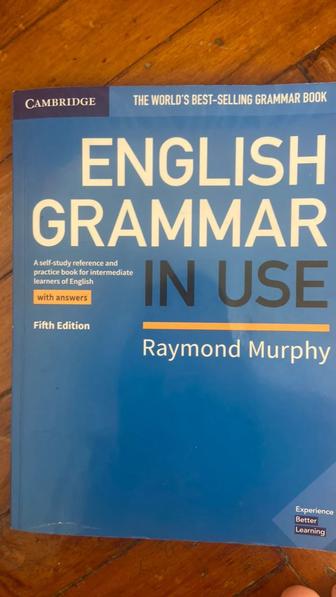 ENGLISH GRAMMAR IN USE Лучшая книга по грамматике для уровня А2-B2