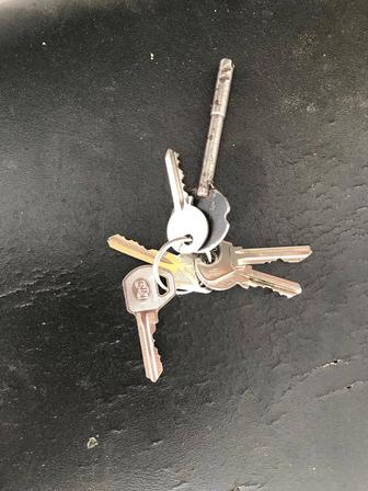 Утеряны ключи от дома в районе телевышка, поликлиника /2, магазинАнвар