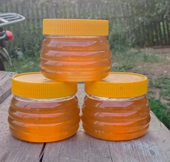 Восточно-Казахстанский мёд