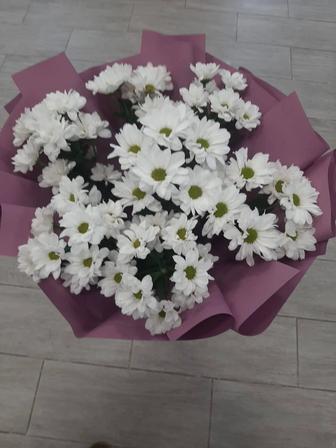 Цветы Леди Флер Атырау