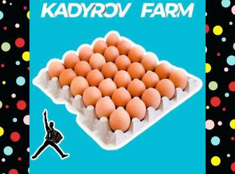 Инкубационные яйца ломан браун несушка оплод 80% Россия ИЯЛБ2