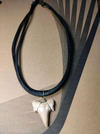 Ожерелье с зубом акулы с арабских эмиратов