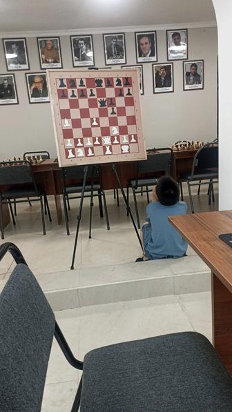 Тренер по шахмату