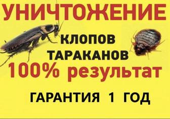 Дезинфекция уничтожение насекомых и грызунов