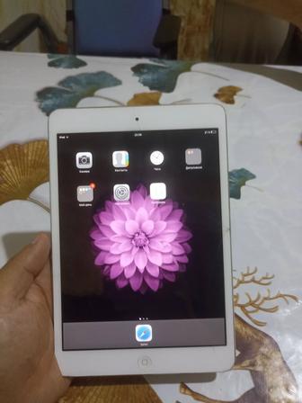 Ipad mini