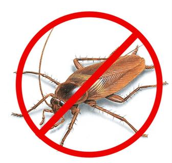 Дезинфекция (уничтожение 100%) тараканов безопасным 
безвредным средством.