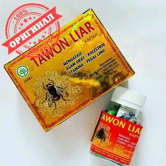 Tawon liar Indonesia Org (пчелка, пчёлка)