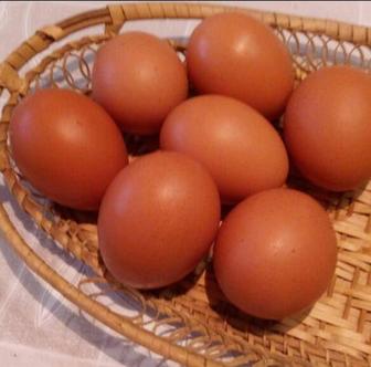 Яйца куриные домашние очень вкусные