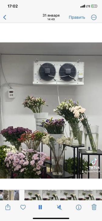 Агрегат для хранения цветов!
