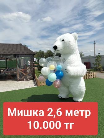 2,6 пушистый белый медведь