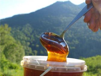 Мёд натуральный горное разнотравье