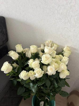 Продается Белые розы 51 шт метровые