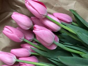 Голландские тюльпаны к 8 марта