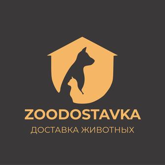 Доставка перевозка животных по Казахстану и России