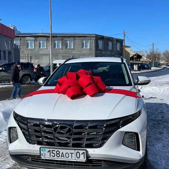 Аренда бантов для авто в Павлодаре