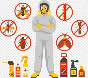 Дезинфекция от насекомых и живностей