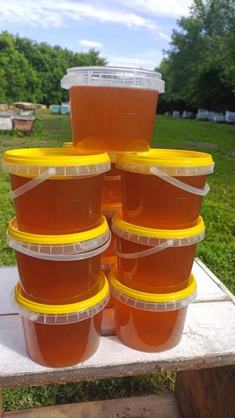 Натуральный майский мёд