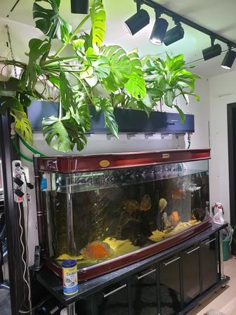 Продам аквариум 900 литров
