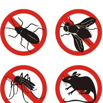Дезинфекция,Дезинсекция,Дератизация уничтожение насекомых,грызунов!!!