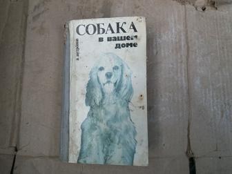Книга о содержании собак