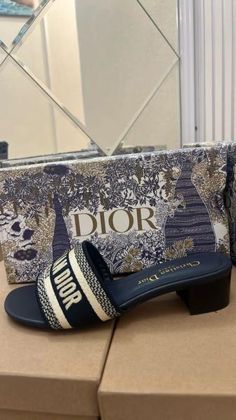 Шлекпа Christian Dior