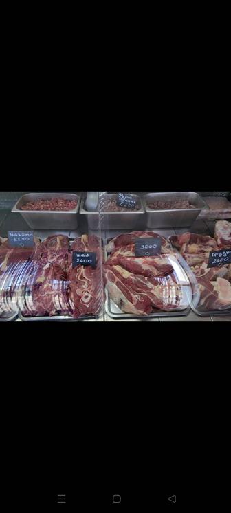 Продам мясо говядины и свинины молодняк. Пельмени домашние с говядины