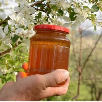 Предлагаем Вашему вниманию Мёд из Восточного Казахстана. Натуральный эколог