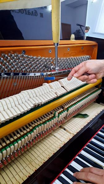 Настройка и ремонт фортепиано пианино рояль профессионально