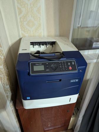 Принтер Xerox Phaser 4622