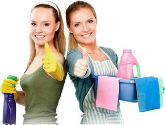 две девушки ищут работу уборка домов квартир офисов