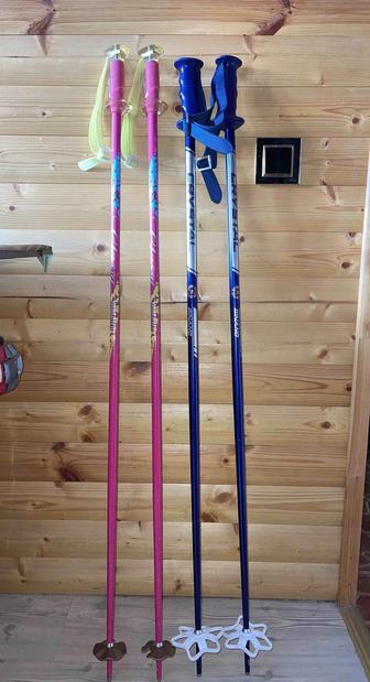 Горнолыжные палки лыжные палки для лыж