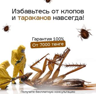 Дезинфекция уничтожение насекомых! Гарантия