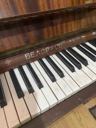 Продам пианино-Беларусь