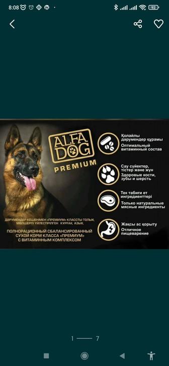 Корм для собак премиум класса с витаминным комплексом Alfa dog