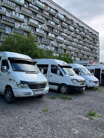 Пассажирские перевозки мерседес спринтер