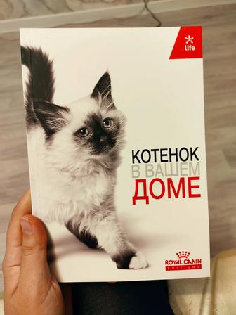 Котенок в вашем доме книга