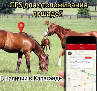 Жпс трекер GPS маяк для отслеживания лошадей коров КРС ТК905 ТК915