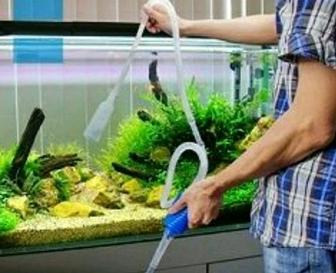 Обслуживание аквариумов