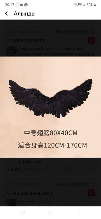 Крылья ангела черного цвета