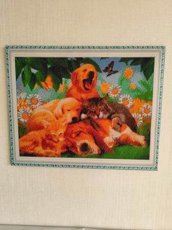 Продам картины алмазная мозаика с изображением кошек, собак и не только